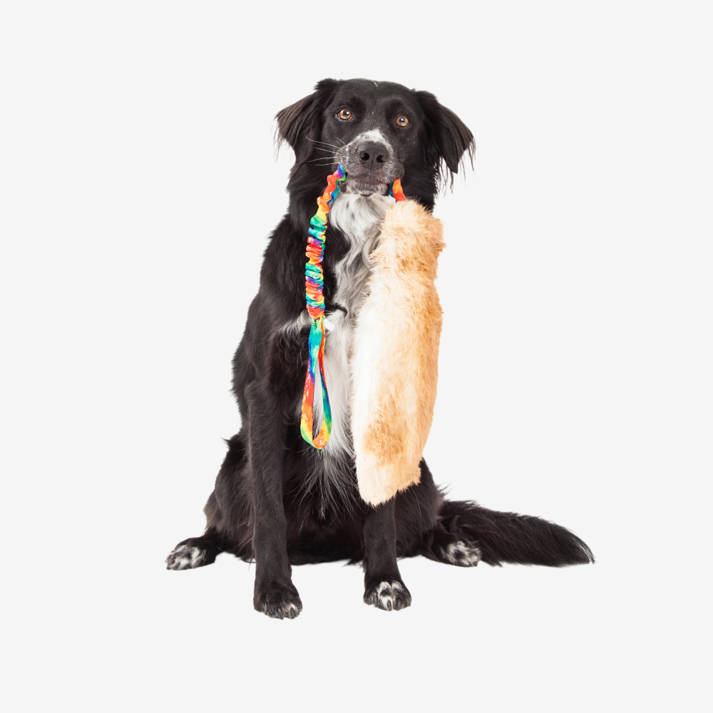 White Sweater Dog - Image 2